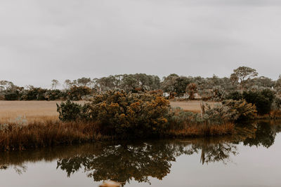 Trees by lake against sky