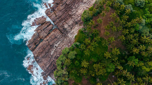 Tropical coast, ocean and waves crashing against rocks, drone shot, exotic landscape.