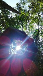 Low angle view of trees