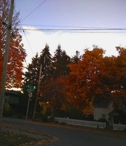 Trees and houses against sky during autumn