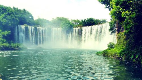 View of waterfall in forest