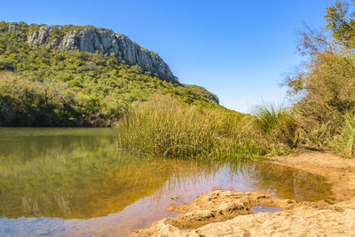 Scenic view of lake by trees against clear sky