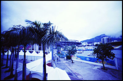 Palm trees by swimming pool in city against sky