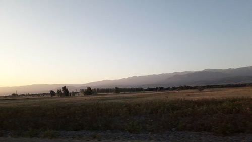 Scenic view of field against clear sky