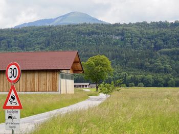 Houses by trees and mountains against sky