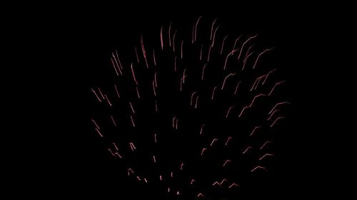 Close-up of firework over black background