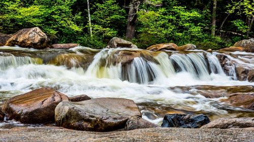 Scenic view of waterfall in forest