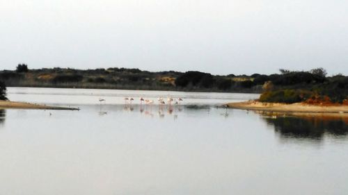 Scenic view of lake against clear sky