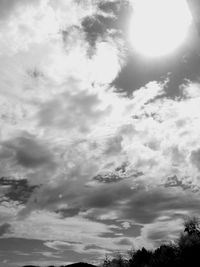 Low angle view of trees against sky