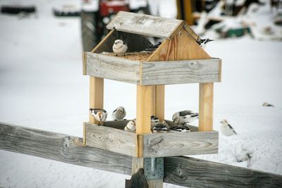 Close-up of birdhouse