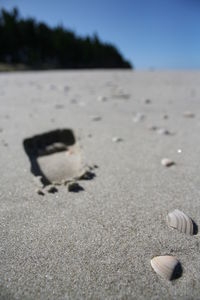 Scenic view of beach