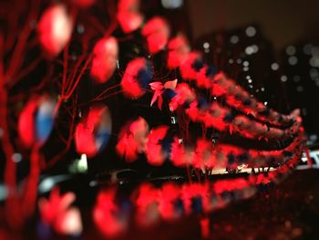 Close up of red leaves