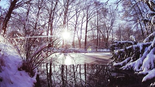 Scenic view of snow covered landscape