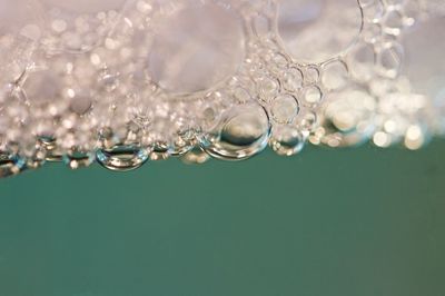 Close-up of water drop