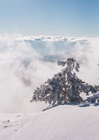 Scenic view of snow covered land against sky