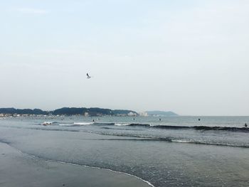 Birds flying over sea against sky