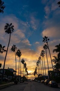 Road by trees against sky during sunset