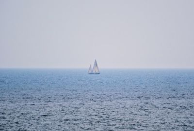 Sailboat sailing on sea against clear sky