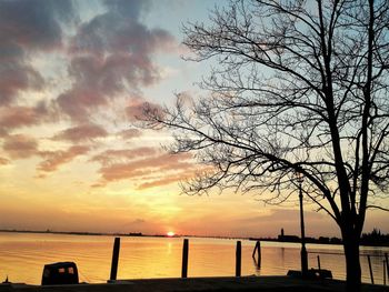 Bare trees at sunset