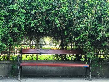 Empty bench in park