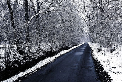 Road amidst bare trees during winter