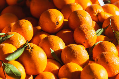 Full frame shot of oranges