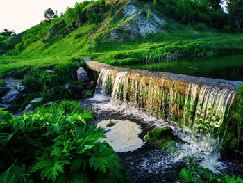 Stream flowing amidst trees in forest