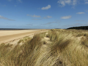 Scenic view of beach against sky