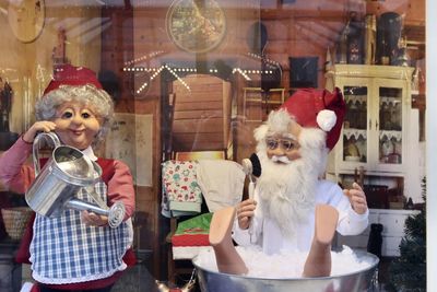 Portrait of woman holding dog