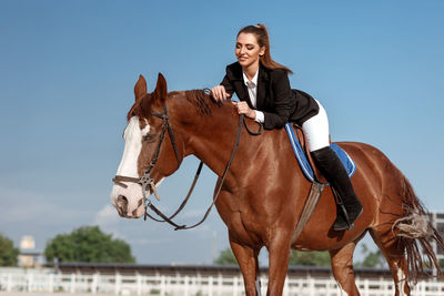 Portrait of horse standing against clear sky