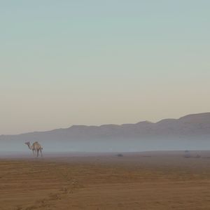 Scenic view of desert against sky