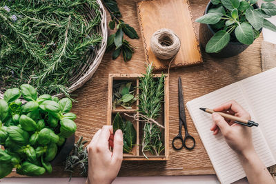 High angle view of person preparing food on table