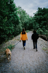Rear view of woman with dog walking on plants