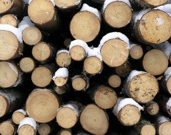 Full frame shot of logs in forest