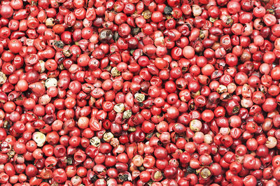 Full frame shot of red berries