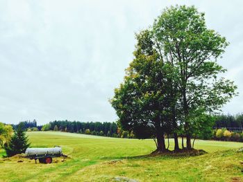 Trees on grass against sky