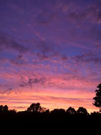 Silhouette trees against sky at sunset