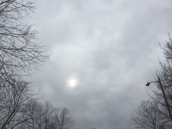 Low angle view of tree against sky