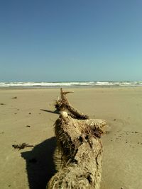 Scenic view of beach against clear sky