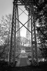 View of bridge in forest