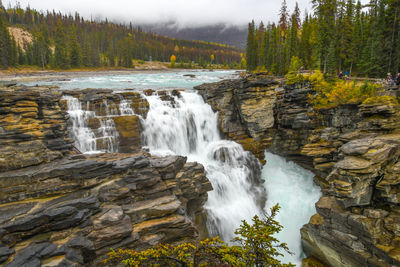 Scenic view of waterfall in forest