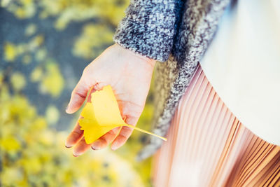 Close-up of hand holding leaf