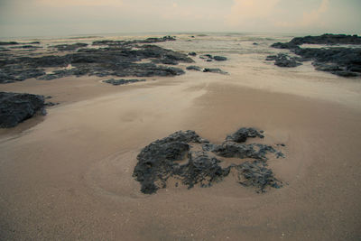 Aerial view of beach