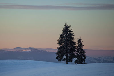 Trees on snow covered landscape against sky during sunset
