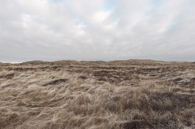 Scenic view of landscape against sky at the west coast of denmark
