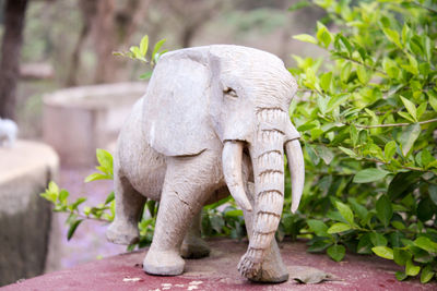 Close-up of elephant statue against plants