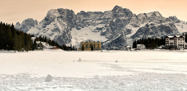 Snow covered trees and buildings against sky