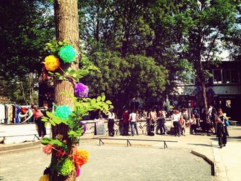 View of flowers in park