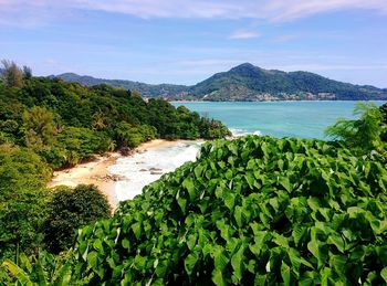 Scenic view of sea against sky