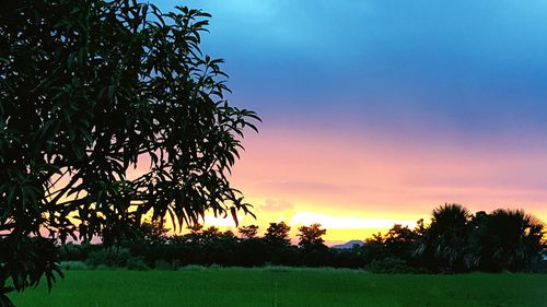 Scenic view of landscape at sunset